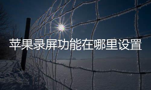 在哪置苹果录屏里设功能