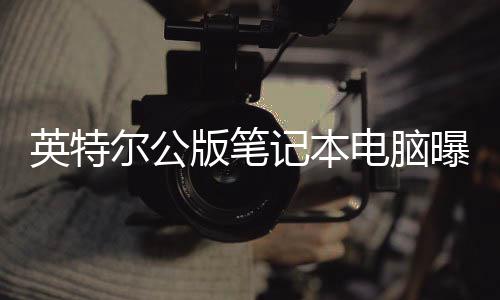 版笔电脑曝光 类尔公英特记本似M