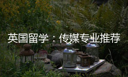 媒专传留学英国业推荐