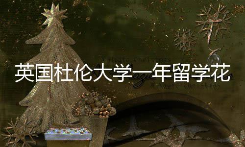 杜伦大学指南留学花费英国一年预算