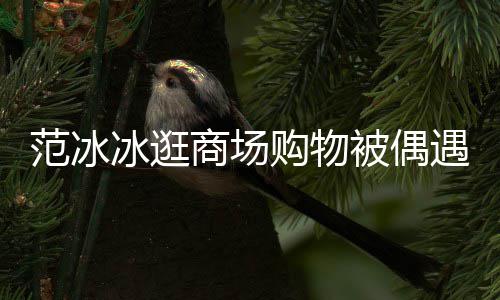 冰逛被偶被赞打扮低调多遇 购物范冰发量商场