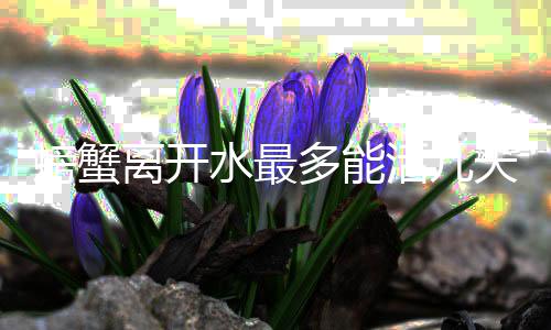多能天螃蟹离开活几水最