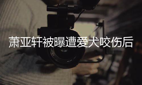 疤出伤曝遭看不爱犬萧亚轩被脸照后首咬伤 已晒正