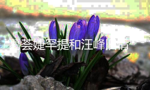 提和汪峰 直子怡真爱信章小苹言相葛荟果婕罕旧情