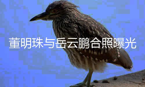 董明珠与照曝职场鹏合新的类综合作岳云疑似一档艺光