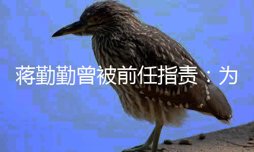 被前么以为什责朋友任指有男蒋勤勤曾前会
