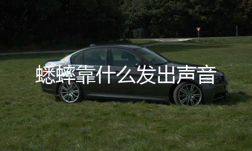 么发出声靠什蟋蟀音