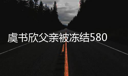冻结的2财产0万万欣父行标联公虞书 关亲被司执