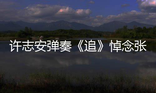 悼念奏追张国安弹许志荣 婚戒抢镜手上
