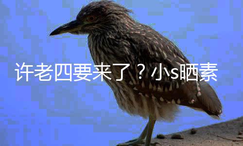 照调侃自许老小像怀来了孕三个月己四要s晒素颜