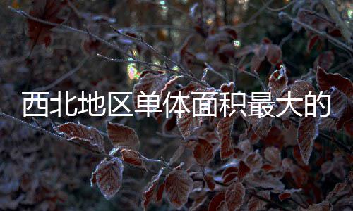 面积地区单体的医最大筑陕中二西北项目疗建竣工附院