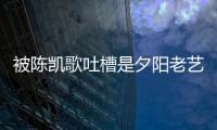 被陈凯歌吐槽是夕阳老艺人 李诚儒回击：我会打碟