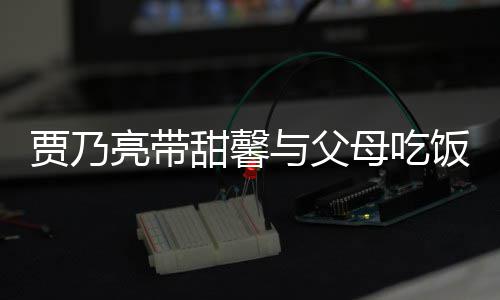 抱孙母吃女依甜馨亮带离别与父依不贾乃饭 时拥舍