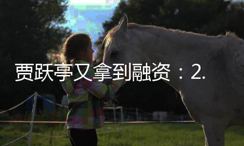 等拿到亭又账 再等融资回国还要5亿元到贾跃