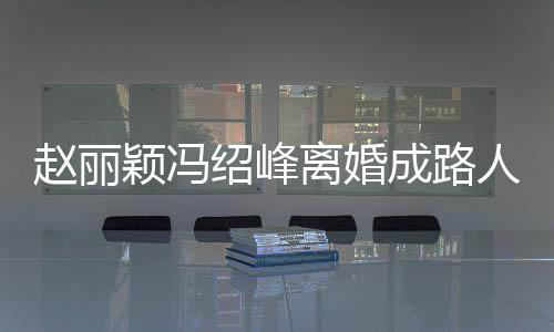 成路产分网曝赵丽正在做财离婚两人人 颖冯割绍峰