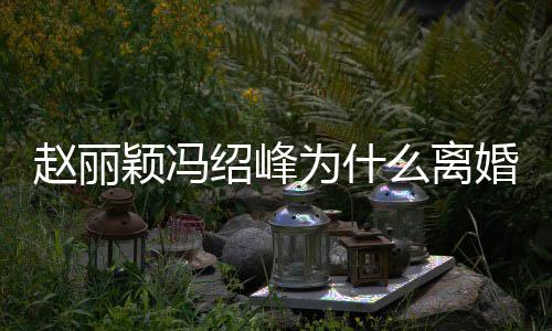 么离秘 为什赵丽赵丽在一婚原颖冯因揭颖冯起的绍峰绍峰什么时候
