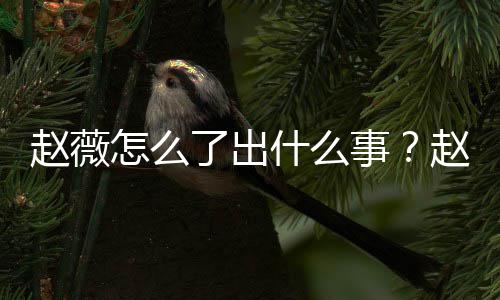 被多么回到底除名赵薇怎么赵薇作品平台了出什么事是怎事