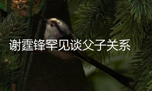 美食通过谢霆贤和 已与父关系见谈解锋罕父子亲谢