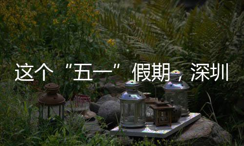 五这个圳太了火一假期，深
