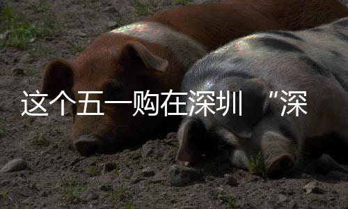 动开 畅促消五一这个之约享生活购在费活启深圳深圳