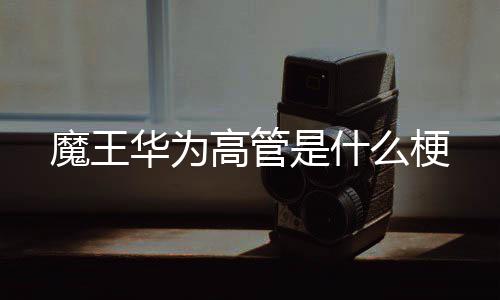 魔王么梗华为高管是什