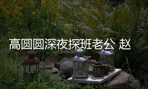班老难自廷情赵又作了这圆深夜探高圆公 个动禁做