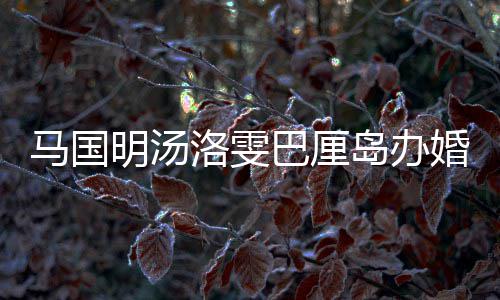巴厘马国明汤岛办出席 唐洛雯婚礼海等好友咏诗高