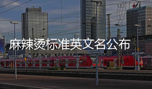 麻辣 麻t你烫标文名准英辣烫了吗会写公布