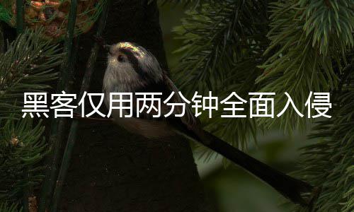 面入盟年钟全证应安全序 系统形同虚设两分龄验黑客用程仅用侵欧