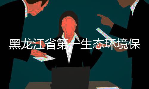 保护目开第一督察厨项组莅展调临齐尔餐黑龙环境研江省齐哈生态