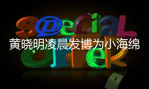 博为宝宝明凌绵庆明的么名晨发字几小海黄晓黄晓叫什生 岁了