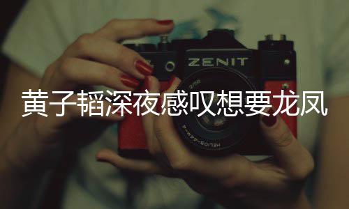韬深叹想朋友可惜没黄子夜感要龙有女凤胎