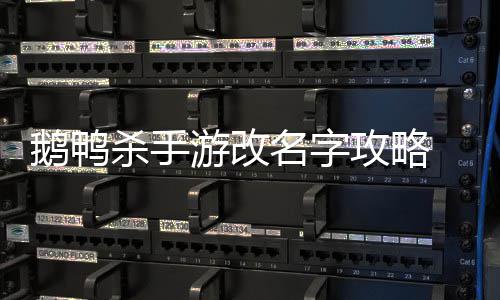 名字怎么字鹅鸭 鹅游改鸭杀攻略改名杀手手游