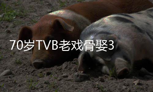未果老戏骨娶妻 去年岁T岁娇生子