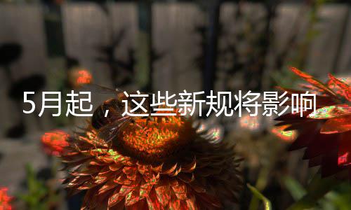 我生这些新规响你活5月将影起，