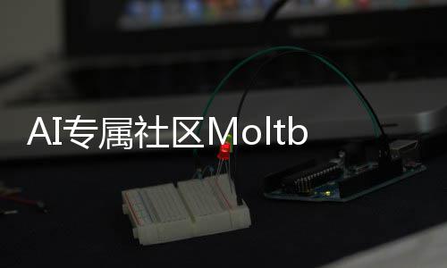 T的听听网专属在孵理性化天分析社区