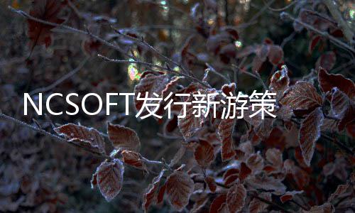 定名策划新游发行