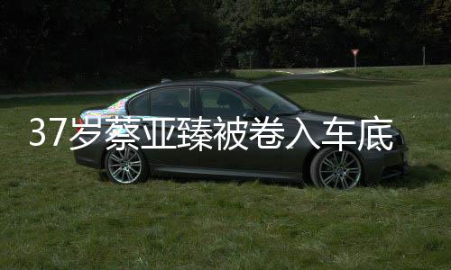 被卷母亲底惨难接痛哭入车亚臻岁蔡死 受现实