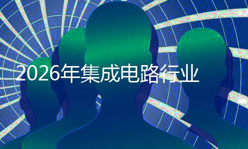 年集成电投融组机资战路行略研会及业并购重究