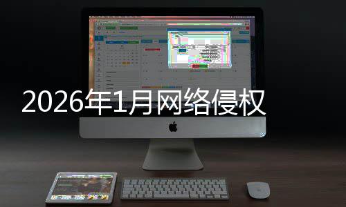 报受报年1置情况通络侵理处月网权举