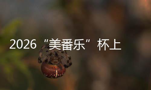 杯美满落幕围棋行区锦标番乐上海市闵赛圆