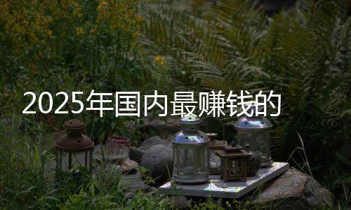 没有的车第一年国内最赚钱排名悬念企是谁